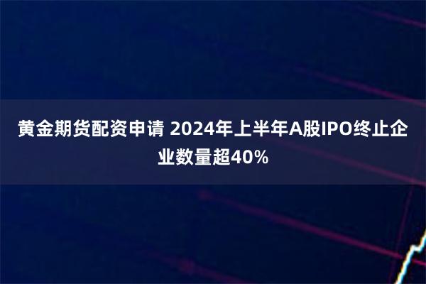 黄金期货配资申请 2024年上半年A股IPO终止企业数量超40%