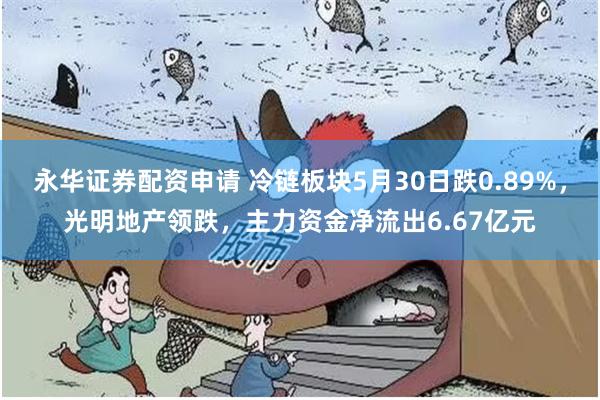 永华证券配资申请 冷链板块5月30日跌0.89%，光明地产领跌，主力资金净流出6.67亿元