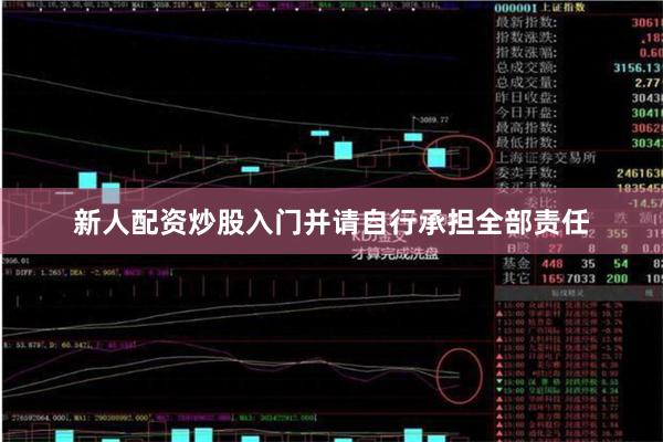 新人配资炒股入门并请自行承担全部责任