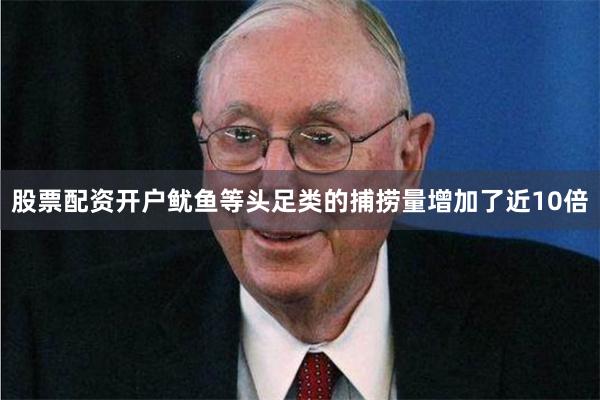 股票配资开户鱿鱼等头足类的捕捞量增加了近10倍