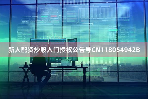 新人配资炒股入门授权公告号CN118054942B